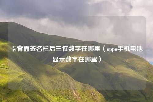卡背面签名栏后三位数字在哪里(oppo手机电池显示数字在哪里)