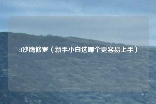 cf沙鹰修罗（新手小白选哪个更容易上手）