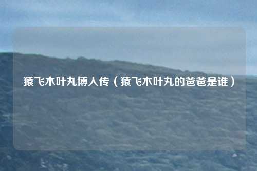 猿飞木叶丸博人传(猿飞木叶丸的爸爸是谁)
