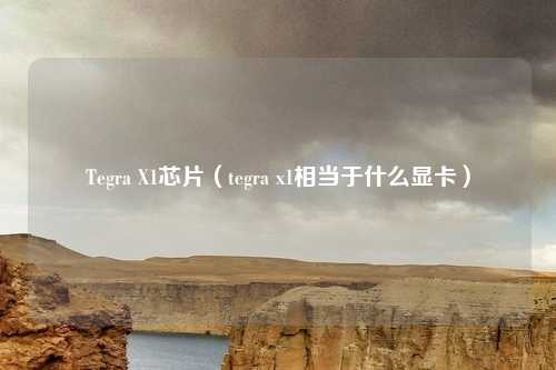 Tegra X1芯片(tegra x1相当于什么显卡)