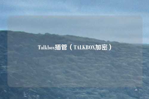 Talkbox插管(TALKBOX加密)