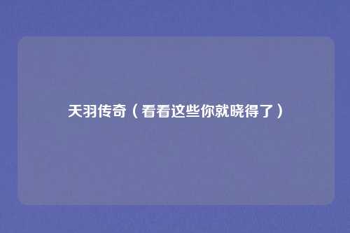 天羽传奇(看看这些你就晓得了)