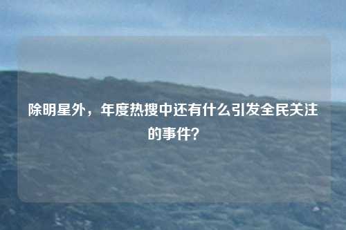除明星外,年度热搜中还有什么引发全民关注的事件?