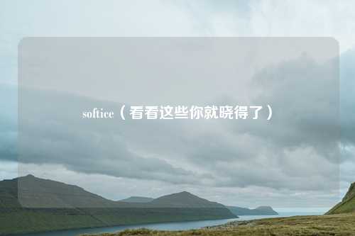 softice(看看这些你就晓得了)