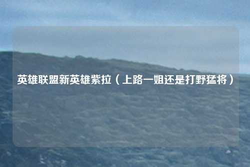 英雄联盟新英雄紫拉(上路一姐还是打野猛将)