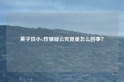黄子佼小s,性骚疑云究竟是怎么回事？