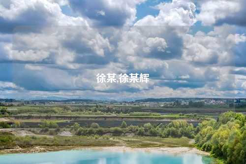 徐某,徐某辉