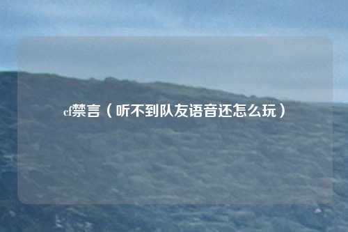 cf禁言(听不到队友语音还怎么玩)