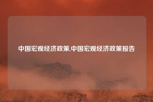 中国宏观经济政策,中国宏观经济政策报告
