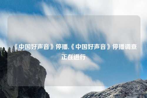 《中国好声音》停播,《中国好声音》停播调查正在进行