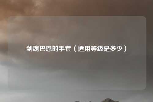 剑魂巴恩的手套(适用等级是多少)