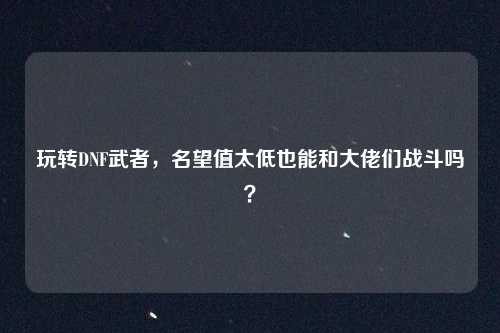 玩转DNF武者,名望值太低也能和大佬们战斗吗?