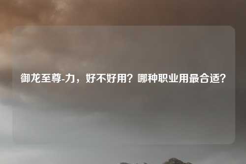 御龙至尊-力,好不好用?哪种职业用最合适?