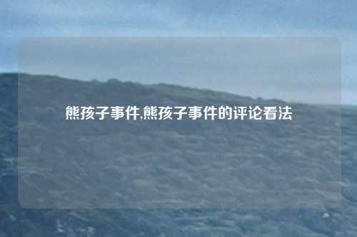 熊孩子事件,熊孩子事件的评论看法