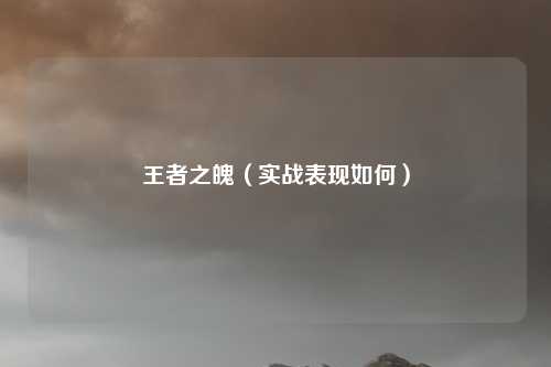 王者之魄(实战表现如何)
