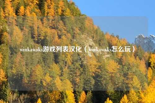 winkawaks游戏列表汉化(winkawaks怎么玩)