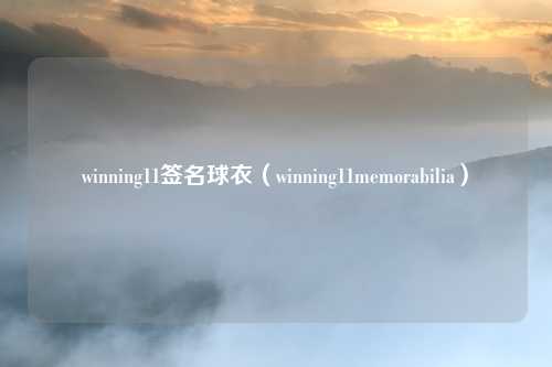 winning11签名球衣(winning11memorabilia)