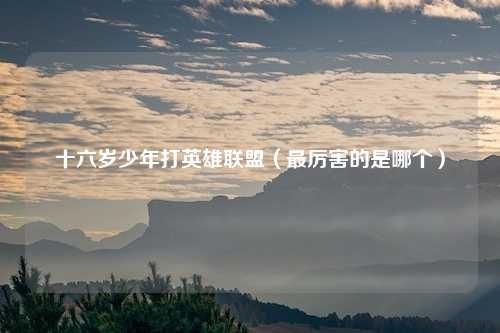 十六岁少年打英雄联盟(最厉害的是哪个)