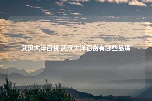 武汉大洋百货,武汉大洋百货有哪些品牌