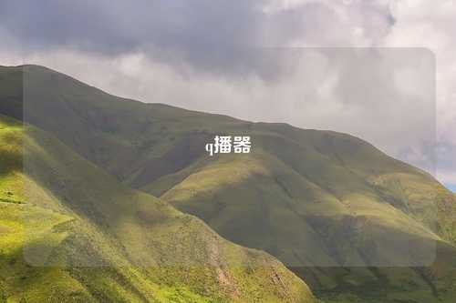 q播器