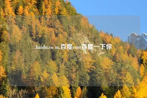 .baidu.co m,百度com百度一下你
