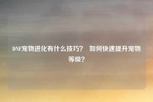 DNF宠物进化有什么技巧? 如何快速提升宠物等级?