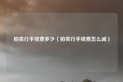 拍卖行手续费多少(拍卖行手续费怎么减)