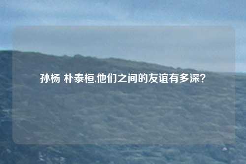 孙杨 朴泰桓,他们之间的友谊有多深？