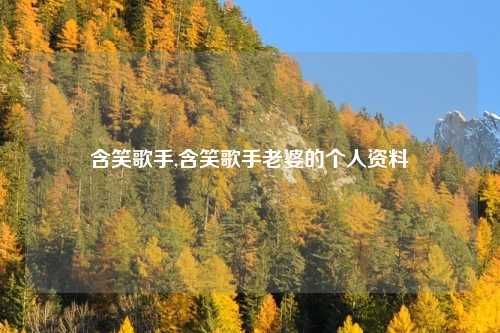 含笑歌手,含笑歌手老婆的个人资料