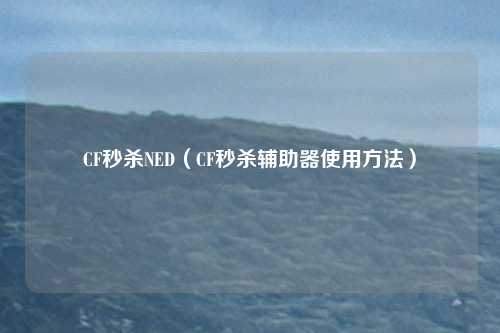 CF秒杀NED(CF秒杀辅助器使用方法)