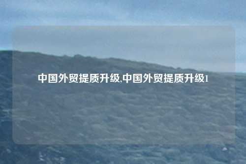 中国外贸提质升级,中国外贸提质升级1