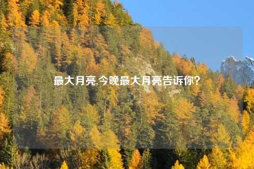最大月亮,今晚最大月亮告诉你？