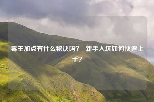 毒王加点有什么秘诀吗? 新手入坑如何快速上手?