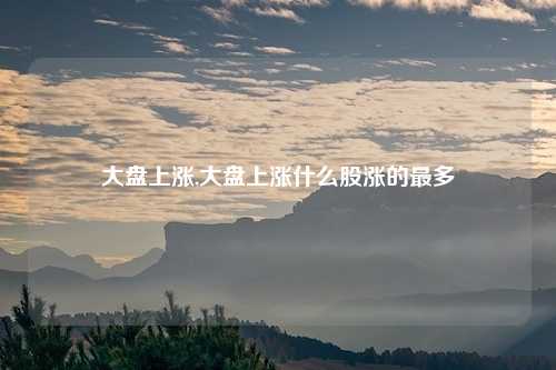 大盘上涨,大盘上涨什么股涨的最多