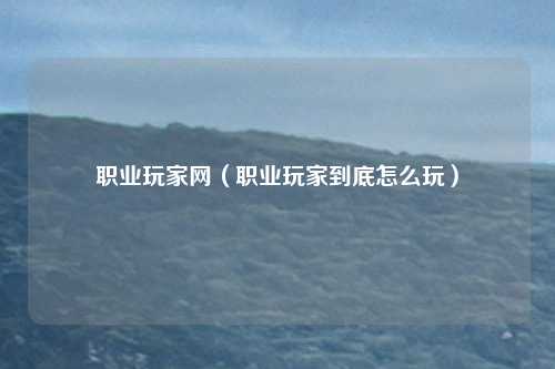 职业玩家网(职业玩家到底怎么玩)