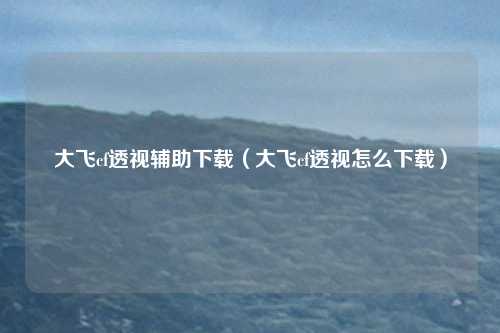 大飞cf透视辅助下载(大飞cf透视怎么下载)