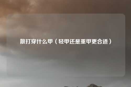 散打穿什么甲(轻甲还是重甲更合适)