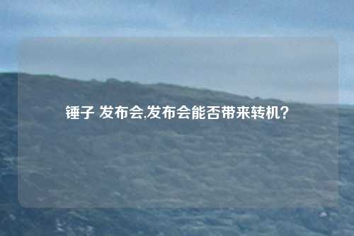 锤子 发布会,发布会能否带来转机？
