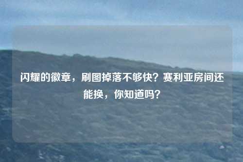 闪耀的徽章,刷图掉落不够快?赛利亚房间还能换,你知道吗?
