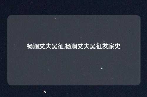 杨澜丈夫吴征,杨澜丈夫吴征发家史