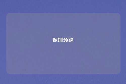 深圳领跑