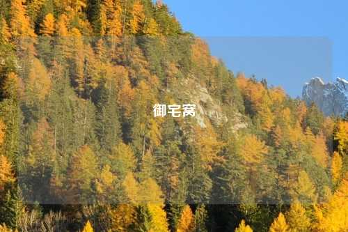 御宅窝