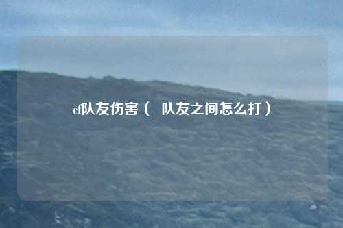 cf队友伤害( 队友之间怎么打)