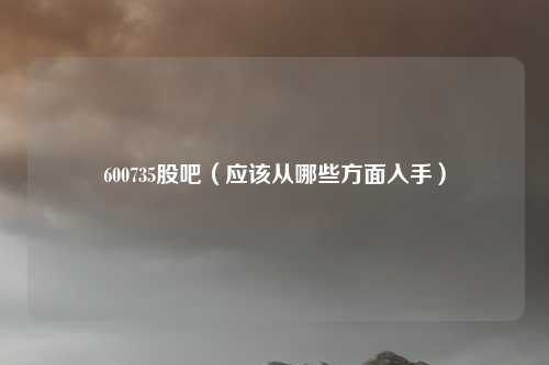 600735股吧(应该从哪些方面入手)