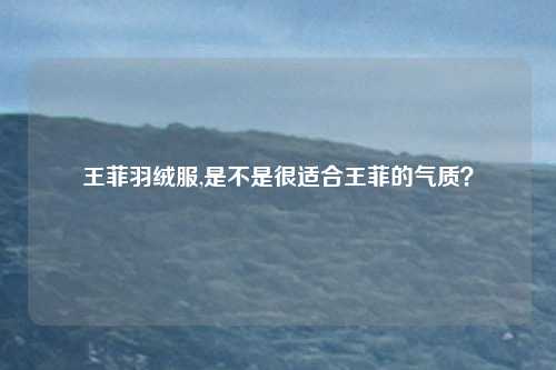 王菲羽绒服,是不是很适合王菲的气质？