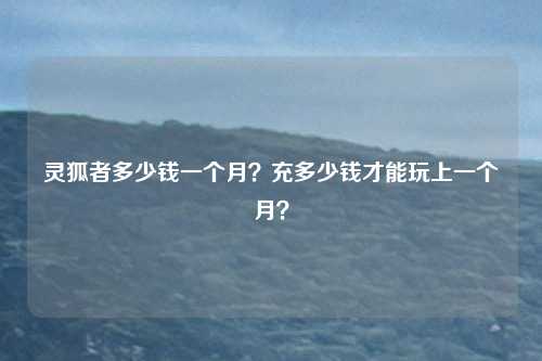 灵狐者多少钱一个月?充多少钱才能玩上一个月?