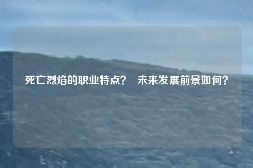 死亡烈焰的职业特点? 未来发展前景如何?
