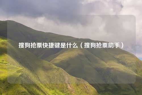 搜狗抢票快捷键是什么(搜狗抢票助手)