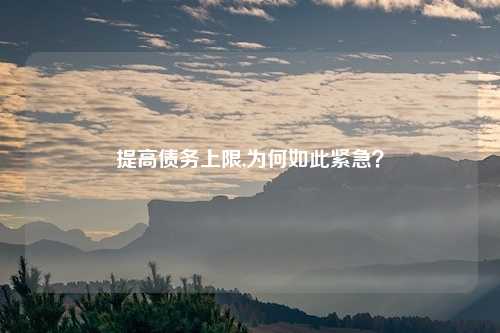 提高债务上限,为何如此紧急？