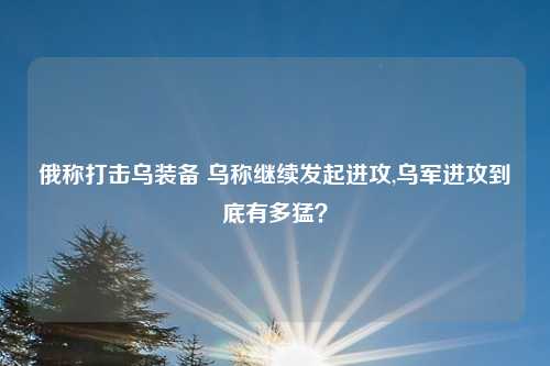 俄称打击乌装备 乌称继续发起进攻,乌军进攻到底有多猛？